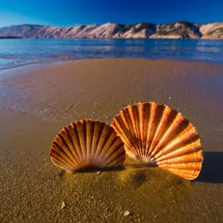 In With Sea View, Balcony, Air Conditioning, Wi-fi Lopar